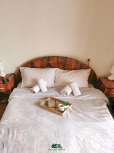 Ein Bett oder Betten in einem Zimmer der Unterkunft Villa Balconlux - Zavojsko jezero, Pirot