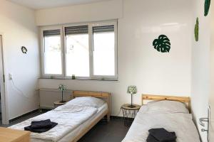 two beds in a room with two windows at Work & Stay Apartments in Euskirchen in Euskirchen