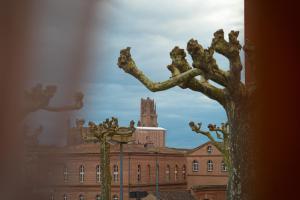 a view of a building with a tree at Le Rez de Jardin Albi in Albi