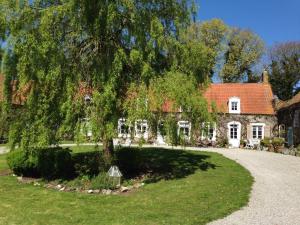 a large tree in front of a house at La Ferme Du Dizacre in Leubringhen