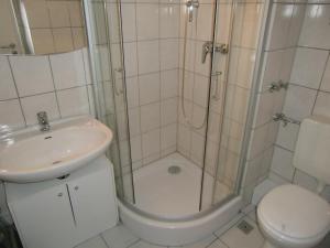 een badkamer met een douche, een wastafel en een toilet bij Schickeria in Goslar