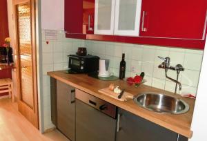 a kitchen counter with a sink and a microwave at MAREN Seeblick Appartement Haus Hänsel&Gretel am Ossiacher See, Hallenbad, Skiarena Gerlitzen in Stiegl