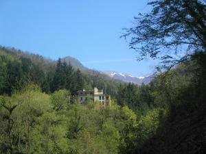 Príroda v okolí dovolenkového domu