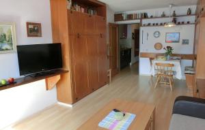 a living room with a television and a table at MAREN Seeblick Appartement Haus Hänsel&Gretel am Ossiacher See, Hallenbad, Skiarena Gerlitzen in Stiegl
