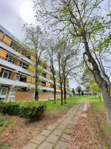 an empty sidewalk in front of a building at Hotel Tomis Neptun in Neptun