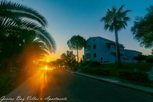 a street with palm trees and a building at sunset at Govino Bay in Gouvia