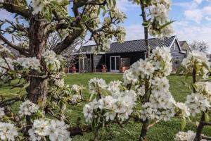 Zahrada ubytování B&B Buutegeweun