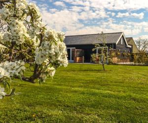 Zahrada ubytování B&B Buutegeweun