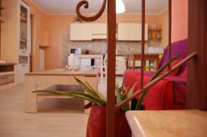A kitchen or kitchenette at Corte Colori