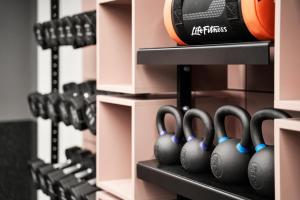 Fitness centrum a/nebo fitness zařízení v ubytování Schwan Locke