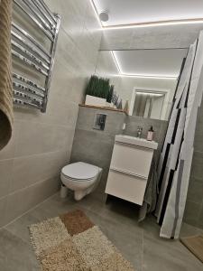 Koupelna v ubytování Buto nuoma Dariaus ir Girėno gatvėje