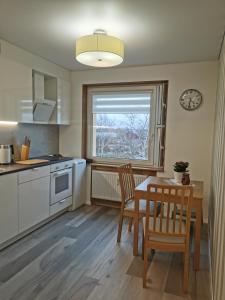 Kuchyň nebo kuchyňský kout v ubytování Buto nuoma Dariaus ir Girėno gatvėje