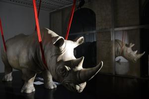 Una statua di un rinoceronte al guinzaglio rosso di Rhinoceros a Roma