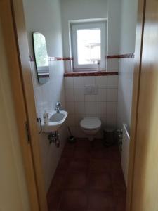 La petite salle de bains est pourvue de toilettes et d'un lavabo. dans l'établissement Appartement Grössing, à Gröbming