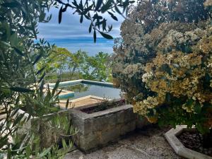 una piscina en un jardín con árboles en Pietra Mare Apartments, en Petrovac na Moru