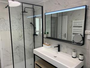 a bathroom with a sink and a shower at La cathédrale à portée de main ! in Narbonne