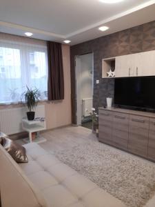 ein Wohnzimmer mit einem Sofa und einem Flachbild-TV in der Unterkunft Götzer Apartman in Komló