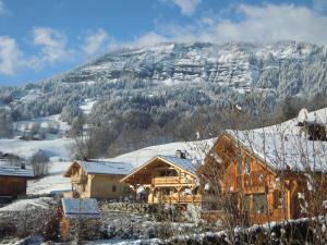 una cabaña de madera en la nieve con una montaña en el fondo en A4 km de Megève très joli studio avec jacuzzi ,vue sur les montagnes au calme, en Praz-sur-Arly