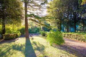 Zahrada ubytování Villa Pitiana