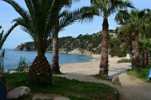 a beach with palm trees next to the water at Apartamento Cala Llevadó Luxury Como en un Crucero in Tossa de Mar