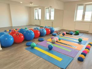 a room with several mats and balls on the floor at Willa Czarnieckiego in Warka