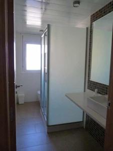 een badkamer met een douche, een wastafel en een spiegel bij Apartamentos Puerta de Ordesa in Laspuña