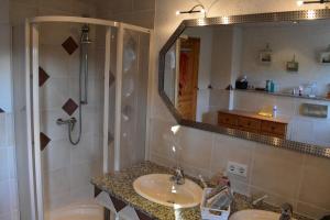 uma casa de banho com um lavatório, um chuveiro e um espelho. em Zimmer Lisa em Förbau