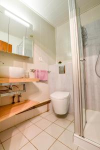 リボーヴィレにあるGite de la dimeのバスルーム(トイレ、洗面台、シャワー付)