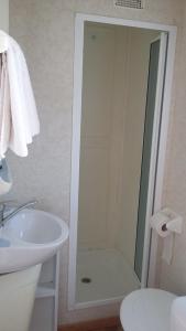 a bathroom with a shower and a sink at Rybník Dalibor I in Vlcice