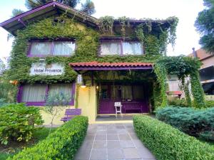 una casa cubierta de hiedra con una puerta púrpura en Petit Hotel Provence Gramado, en Gramado