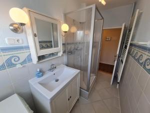 ein Badezimmer mit Waschbecken und Dusche in der Unterkunft Austernfischer in Wyk auf Föhr