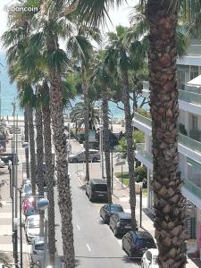 una fila de palmeras junto a una calle con coches en Centre Juan Les Pins, en Juan-les-Pins