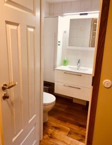 Koupelna v ubytování Kohtu Apartment Unique
