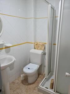 A bathroom at Apartamentos Catalina Park