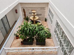 Kép Apartamentos Catalina Park szállásáról Las Palmas de Gran Canariában a galériában
