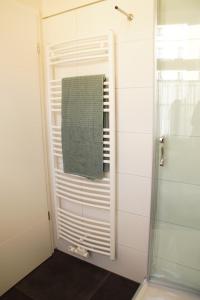 a bathroom with a towel hanging on a shower door at Urlaubsfreude Biedermann Haus Blumenglück - Hortensie in Sebnitz