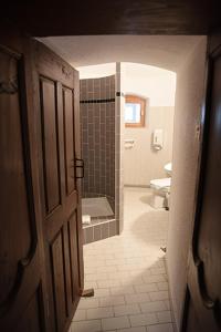 uma casa de banho com uma cabina de duche ao nível do chão e um WC. em Château de Passières em Chichilianne