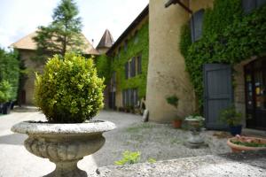 Zahrada ubytování Château de Passières