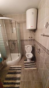 uma casa de banho com um chuveiro, um WC e um lavatório. em Sunrise Apartment em Baošići