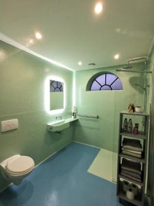 ein Bad mit einem WC, einem Waschbecken und einer Dusche in der Unterkunft Studio Blank - a night in the gallery in Den Oever