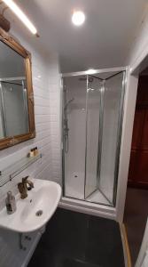 La salle de bains est pourvue d'une douche et d'un lavabo. dans l'établissement Bosdam Budget Rooms, à Beveren