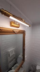 a bathroom with a mirror and a toilet and a light at Bosdam Budget Rooms in Beveren