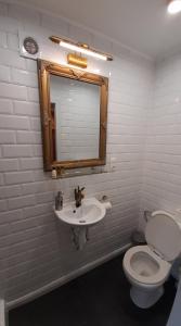 a bathroom with a toilet and a sink and a mirror at Bosdam Budget Rooms in Beveren