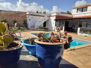 La pileta dentro o cerca de B&B Villa Vital Fuerteventura - Atmospheric, Small-scale, Adults Only