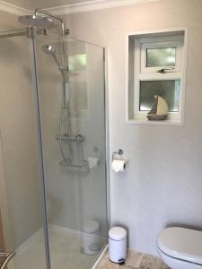 a bathroom with a shower and a toilet and a window at Sycamore Bungalow in Perranwell