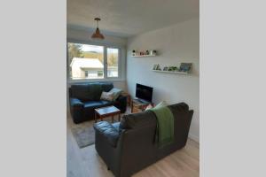 a living room with a couch and a tv at Sea Holly Freshwater East Beach in Pembrokeshire