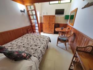 a bedroom with a bed and a table and a ladder at Apartments Casa Lila in Puerto de Mogán