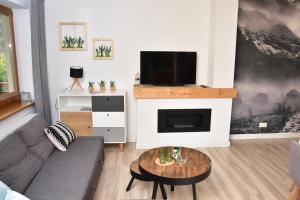 a living room with a couch and a flat screen tv at Apartament Erica in Zakopane