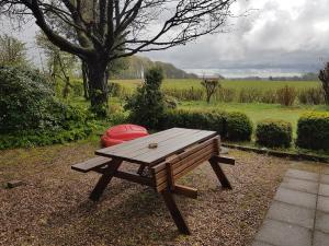 una mesa de picnic con un objeto rojo sentado al lado de un campo en Elmely en Dybvad