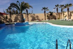 a large swimming pool with a palm tree in it at oasis RELAX Corralejo in Parque Holandes